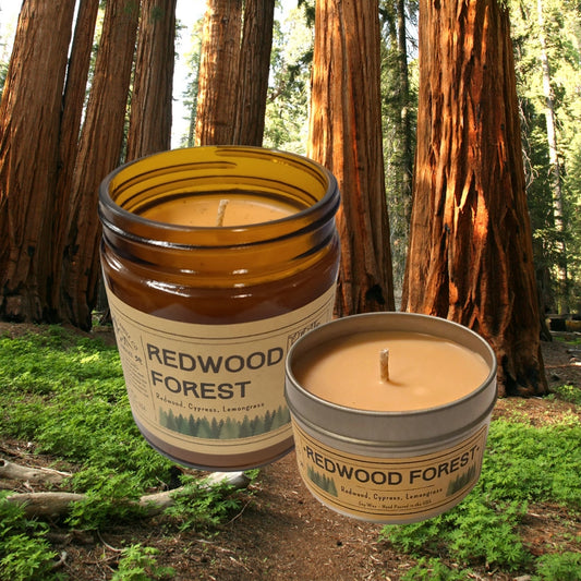 Redwood Forest candle